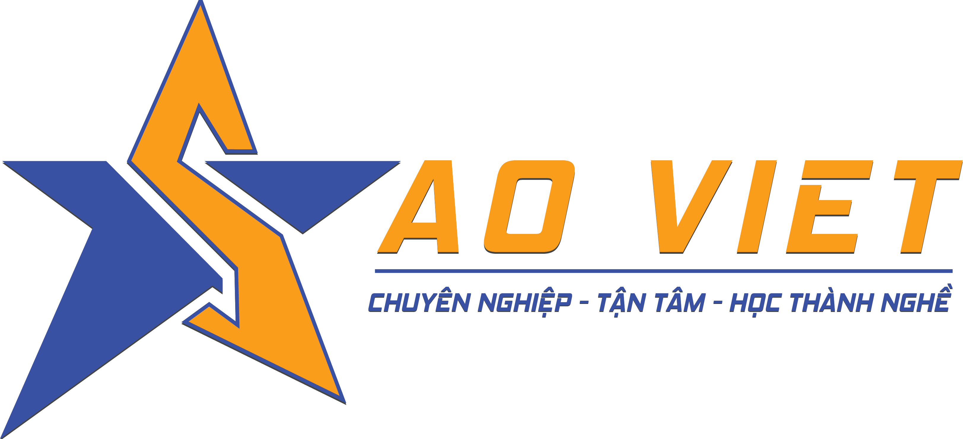 Tin học Sao Việt