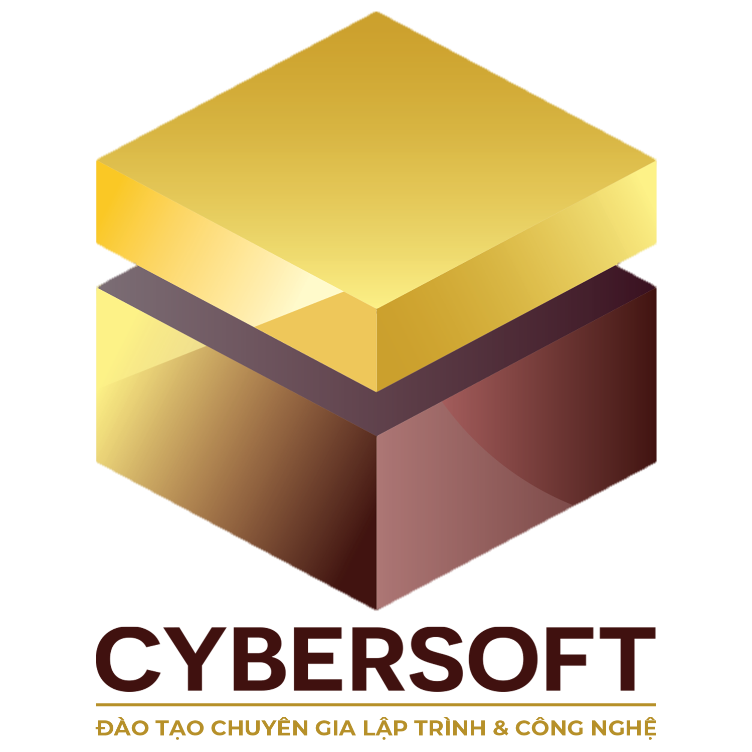 Cybersoft